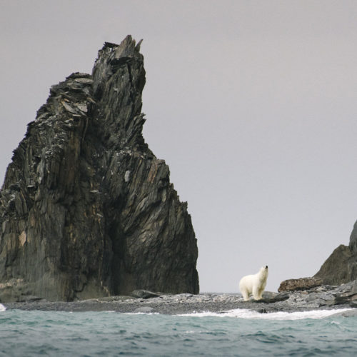 Waiting for Sea Ice, Herald Island