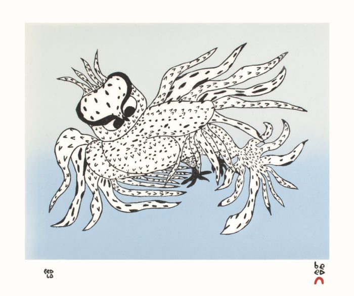 Besotted Owl by Ooloosie Saila - 2021 Cape Dorset Annual Print Collection