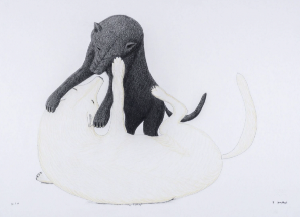 Play Fighting - drawing by Inuit artist Johnny Pootoogook
