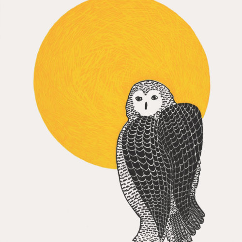 Sunlit Owl by Pee Ashevak