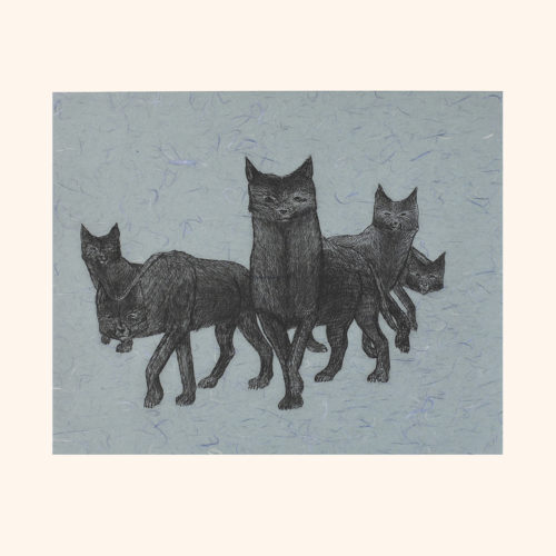 Wolf Pack by Johnny Pootoogook