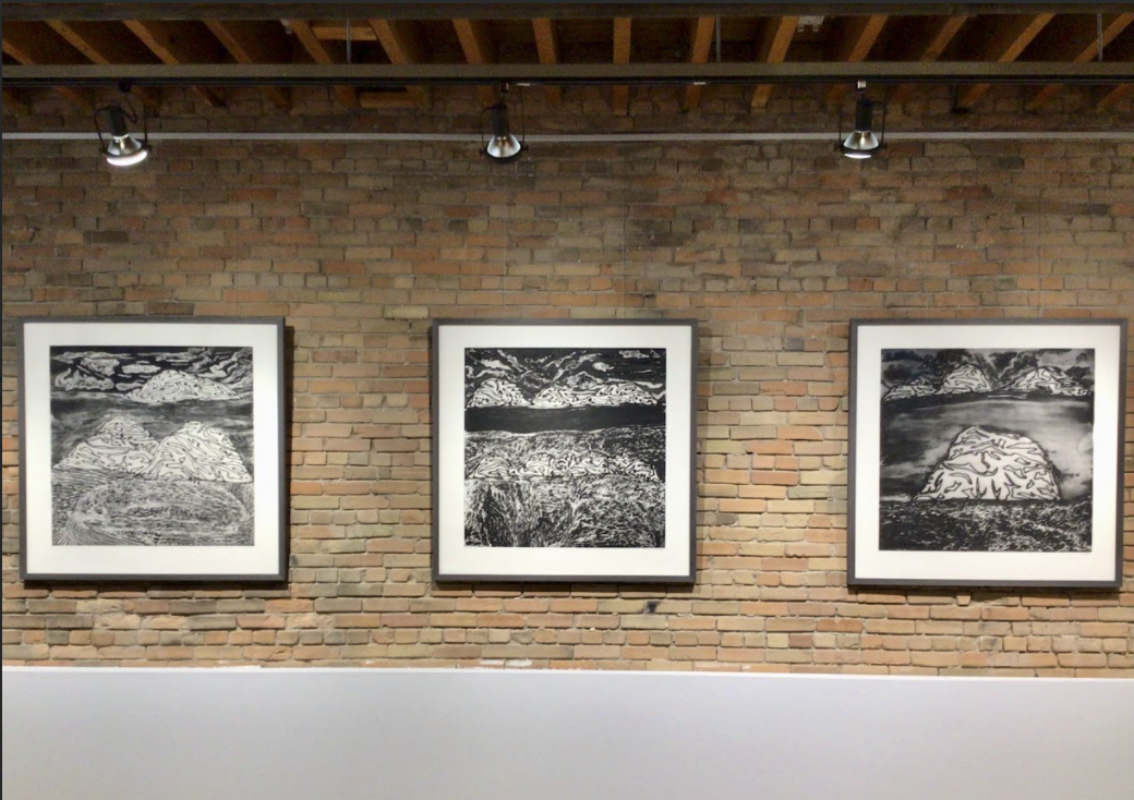 Island Landscapes Portfolio - Ooloosie Saila - Image 5