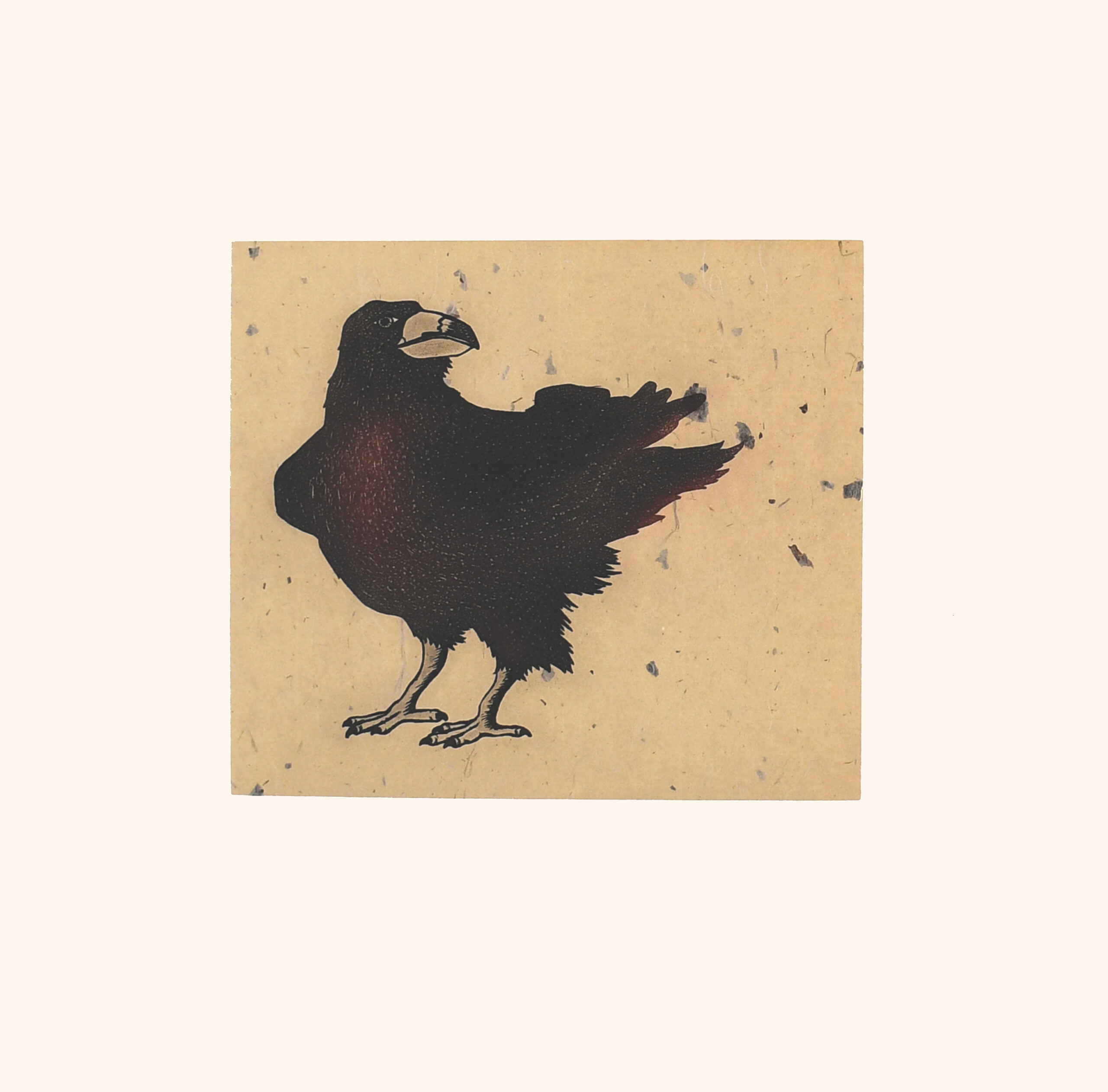 Limited Edition Print - Stoic Raven by Inuit Artist  Padloo Samayualie