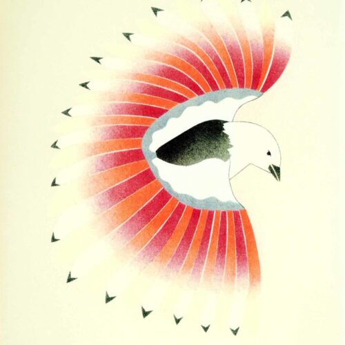 Ethereal Flight - Qavavau Manumie (framed)