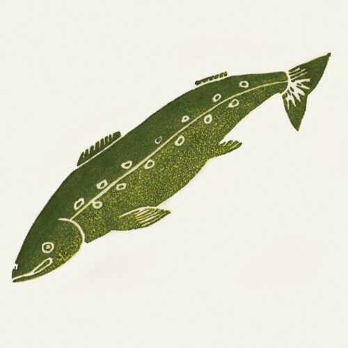 Ivitaaruq (Arctic Char) by Alasuaq Sharky