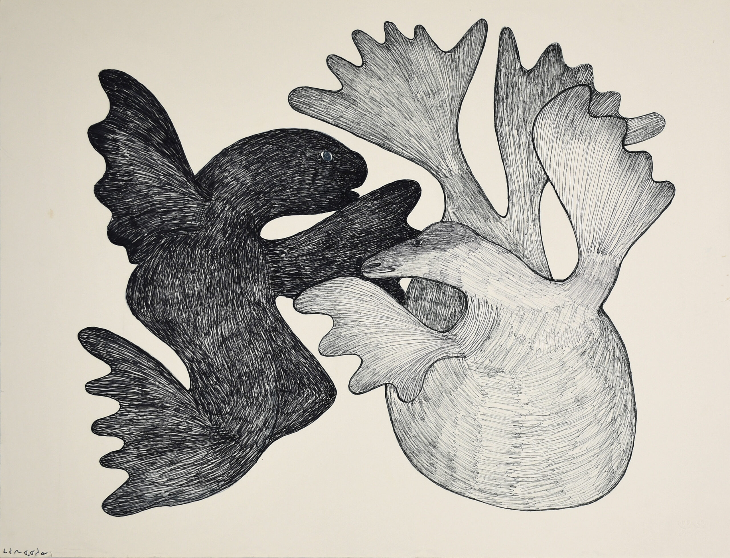 untitled black and white drawing by Inuit artist Mayoreak Ashoona