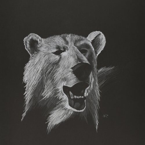 Untitled Polar Bear drawing by Inuit artist Aoudla Pudlat