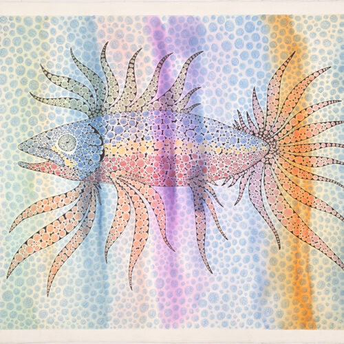 Untitled print (fish 2) by Baker Lake artist Aoudla Pudlat
