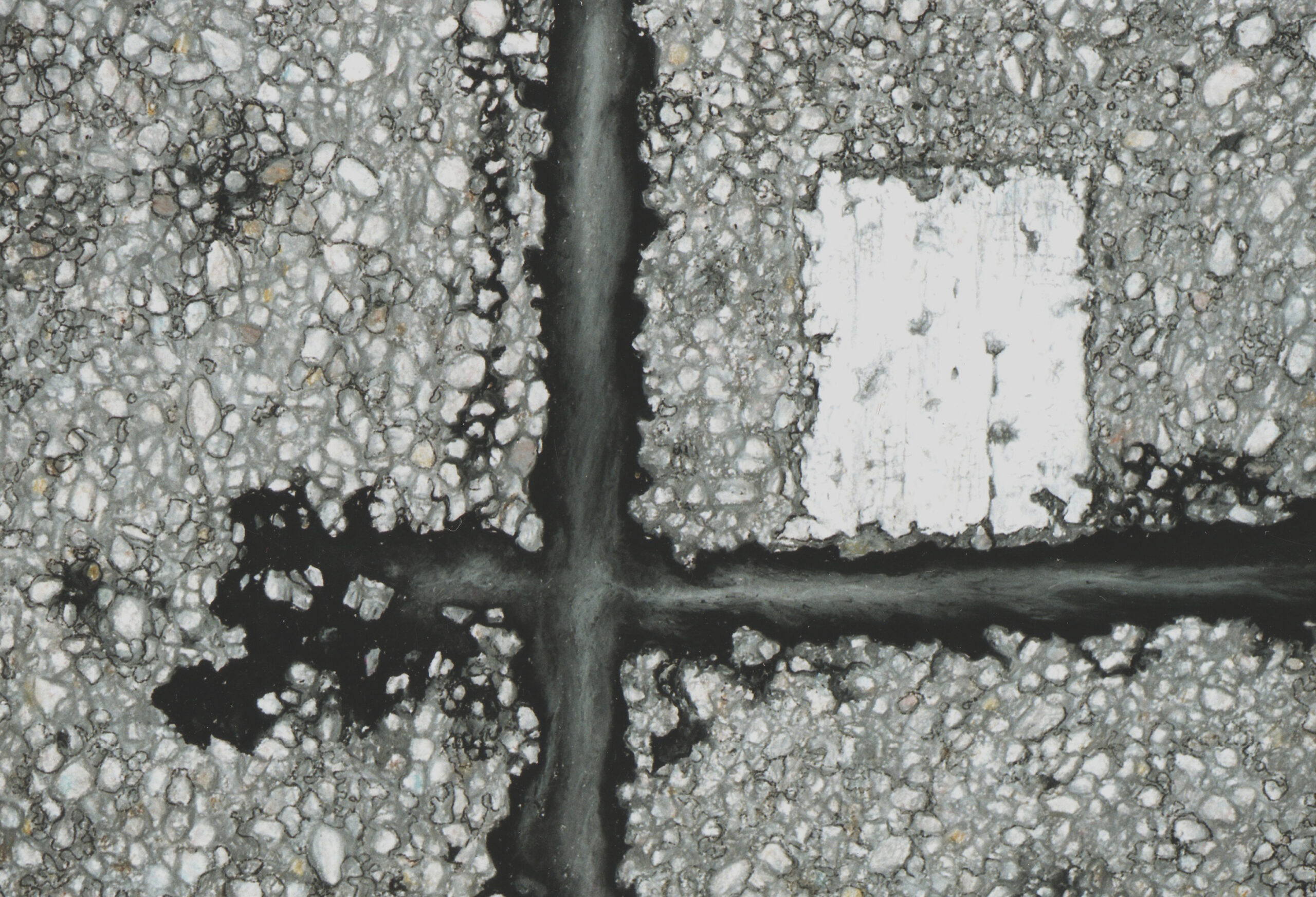 Balanced Remnant - Pastel Drawing by Winnipeg artist Robert Pasternak